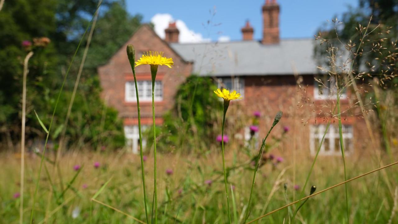 Weaverham Beech Hill B&B المظهر الخارجي الصورة