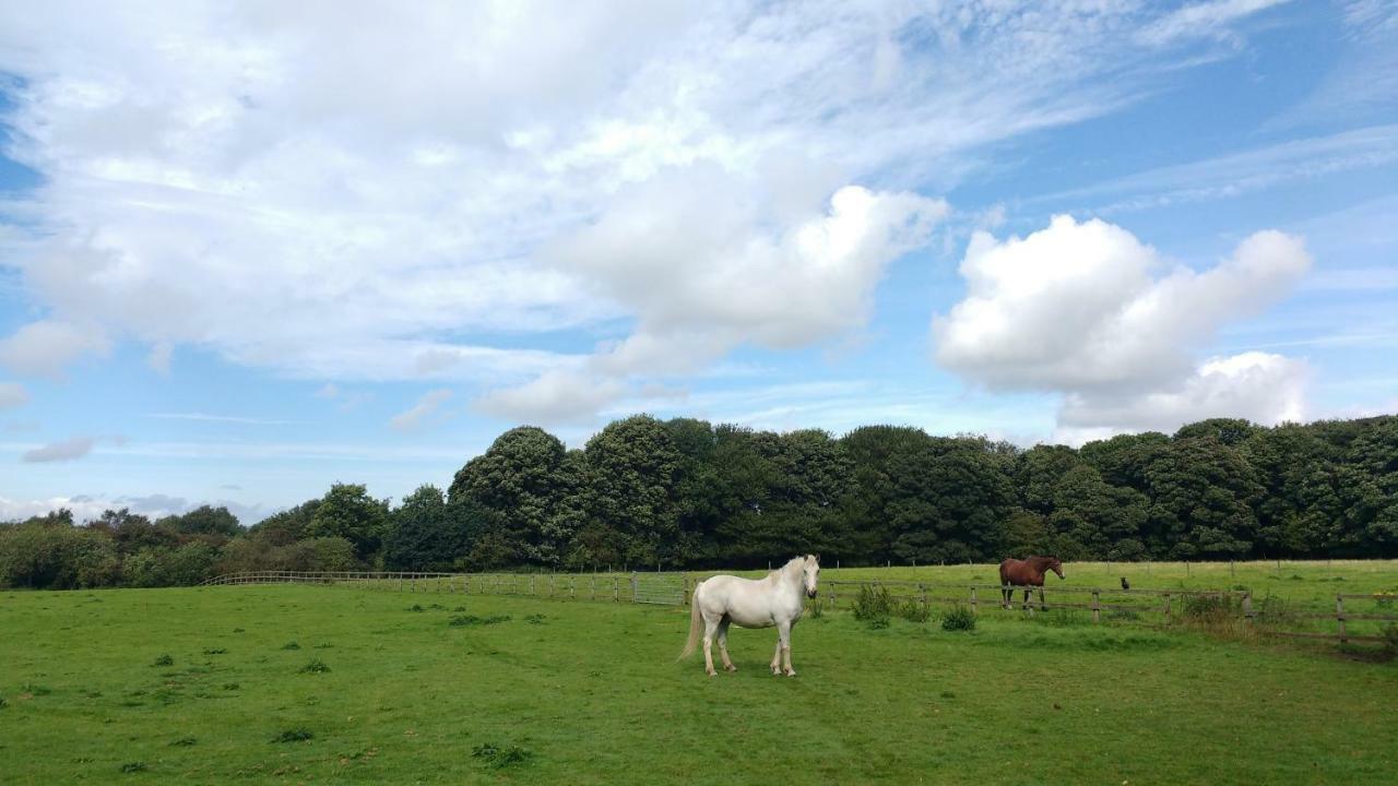 Weaverham Beech Hill B&B المظهر الخارجي الصورة